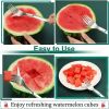 2 In 1 Stainless Steel Watermelon Slicer With Fork