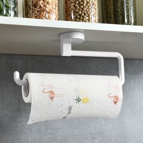 Wall-mounted or Under Counter Paper Towel Holder